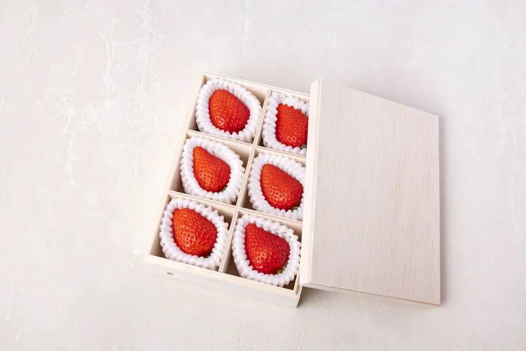 農業×再生可能エネルギー×商業施設の連携で実現する地域共創 画像 3