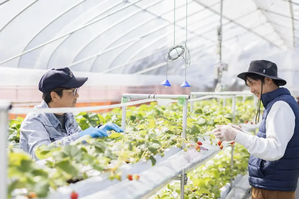 農業×再生可能エネルギー×商業施設の連携で実現する地域共創 画像 6