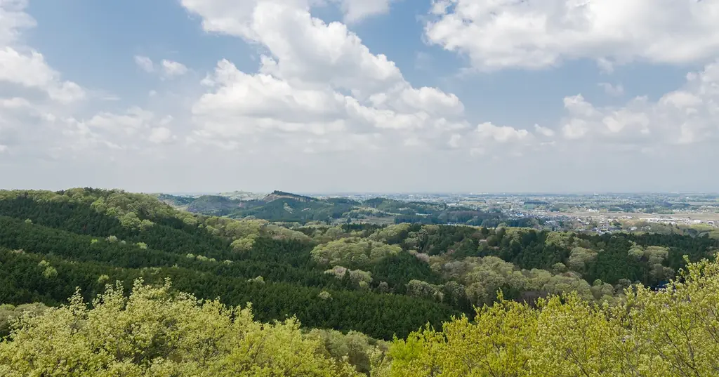 【リサ・ラーソンの猫】栃木・益子で生まれた「にっぽんのリサ猫」最新作。日本各地の窯元を旅するプロジェクトから、9匹目の猫《あわせじま》が登場。 画像 8