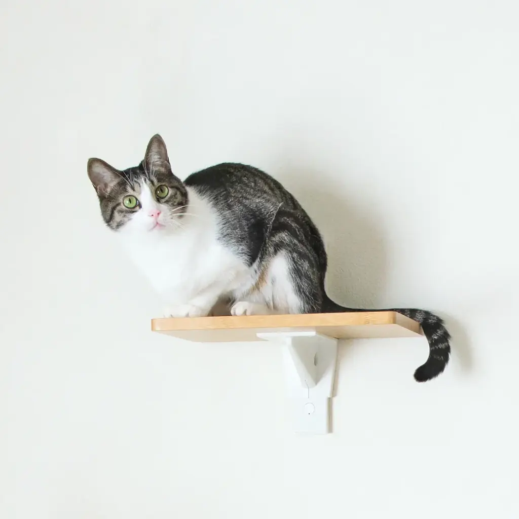 つっぱり棒の老舗が「猫家具」へ本格参入。2月22日（猫の日）に先駆け、新ブランド『CAT FREELY』の全貌を公開 画像 2