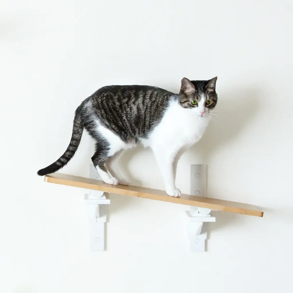 つっぱり棒の老舗が「猫家具」へ本格参入。2月22日（猫の日）に先駆け、新ブランド『CAT FREELY』の全貌を公開 画像 3