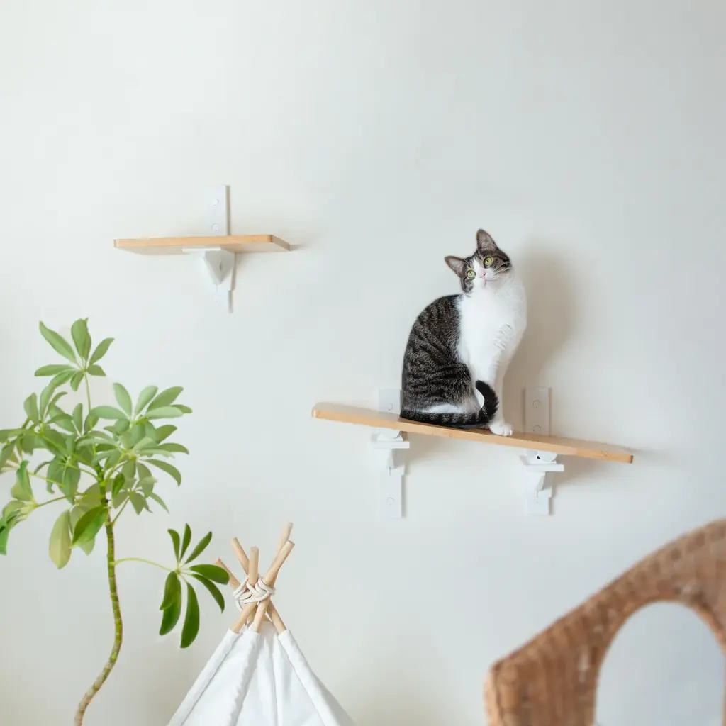 つっぱり棒の老舗が「猫家具」へ本格参入。2月22日（猫の日）に先駆け、新ブランド『CAT FREELY』の全貌を公開 画像 7