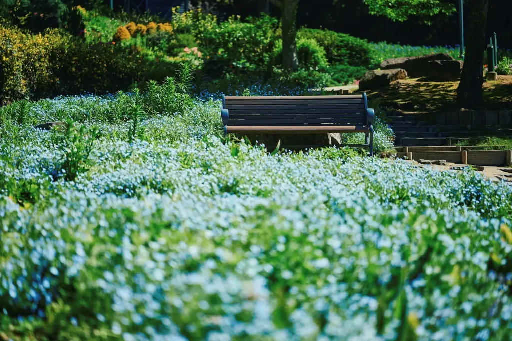 神戸を一望する絶景テラスやラグジュアリーなカフェで「苺づくし」のオリジナルメニューを堪能。山上リゾート「神戸布引ハーブ園」で苺フェア「Strawberry Selection」を5/31まで開催中！ 画像 23