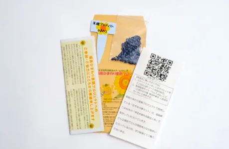 ひまわりを通じた東日本大震災の復興支援と伝承活動が15周年で16年目に入る。　感謝の種を蒔く『”種まき人”100万人創出プロジェクト』を開始 画像 1