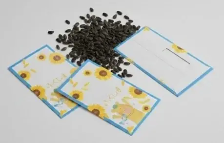 ひまわりを通じた東日本大震災の復興支援と伝承活動が15周年で16年目に入る。　感謝の種を蒔く『”種まき人”100万人創出プロジェクト』を開始 画像 2