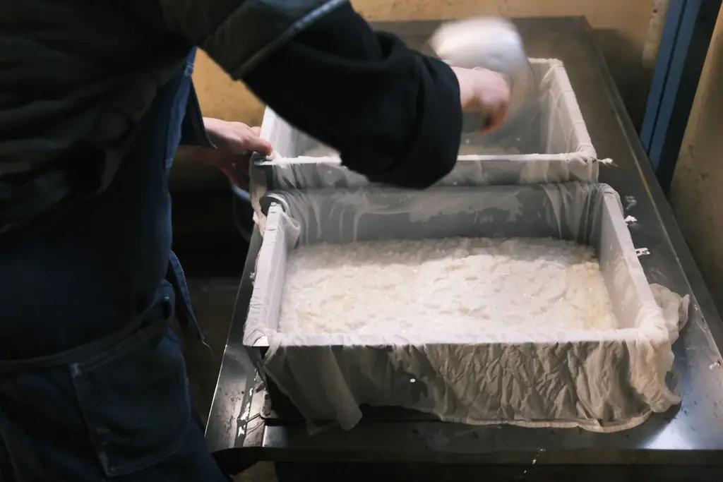 【京都・丹後半島】2026年3月1日（日）〜11日（水）に「SLOW ー暮らしのつくり手交流プログラムー」 が開催。高校生・大学生の参加者を募集します。 画像 8