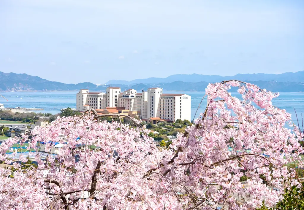 【花見山 鳴門】しだれ桜と青い海の絶景☆さくら祭りへホテルから送迎バスが新登場＜3月27日～4月10日＞ 画像 4