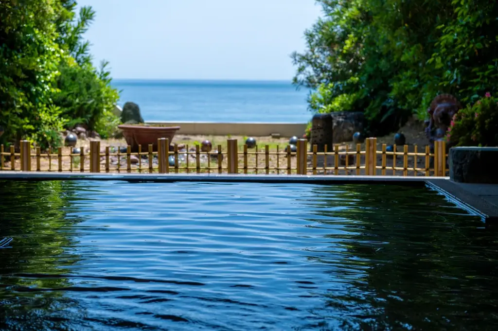 【花見山 鳴門】しだれ桜と青い海の絶景☆さくら祭りへホテルから送迎バスが新登場＜3月27日～4月10日＞ 画像 5