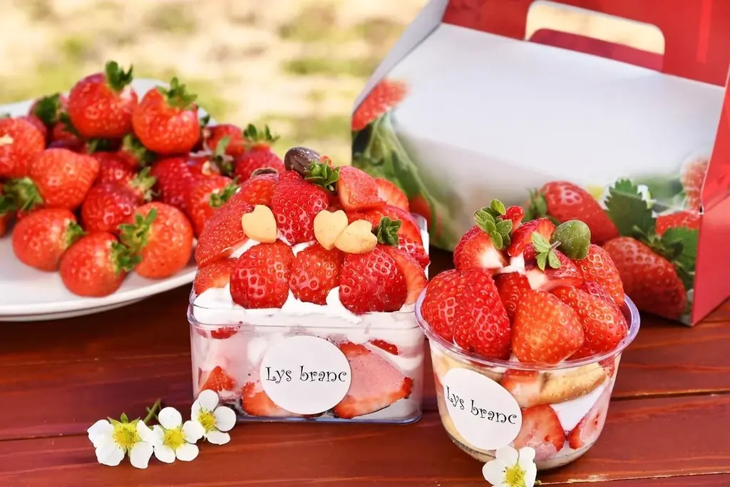 3月28日開始 大木町で摘みたて苺のパティシエ体験