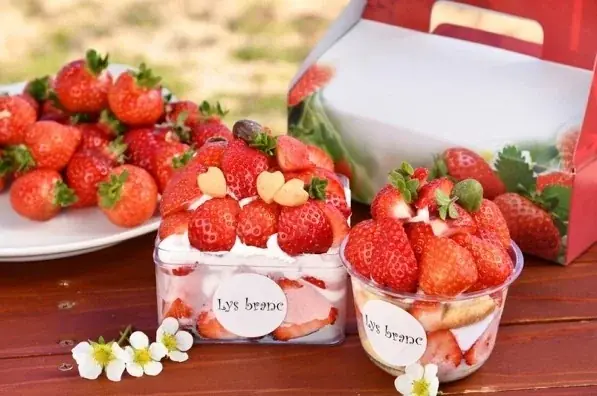 【福岡県大木町】自分で収穫した苺が主役の特別なパティシエ体験。摘みたて「あまおう」とこだわりの生クリームが織りなす４日間限定イベント、2026年3月28日より開催 画像 4