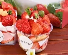 【福岡県大木町】自分で収穫した苺が主役の特別なパティシエ体験。摘みたて「あまおう」とこだわりの生クリームが織りなす４日間限定イベント、2026年3月28日より開催 画像 7