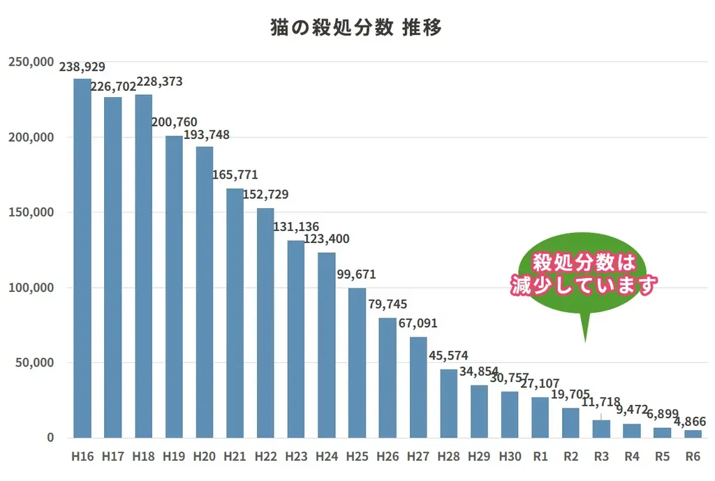 殺処分ゼロを本気で目指す公益法人がサポーターを大募集！「さくらねこを増やす1か月」キャンペーン、本日スタート！ 画像 7