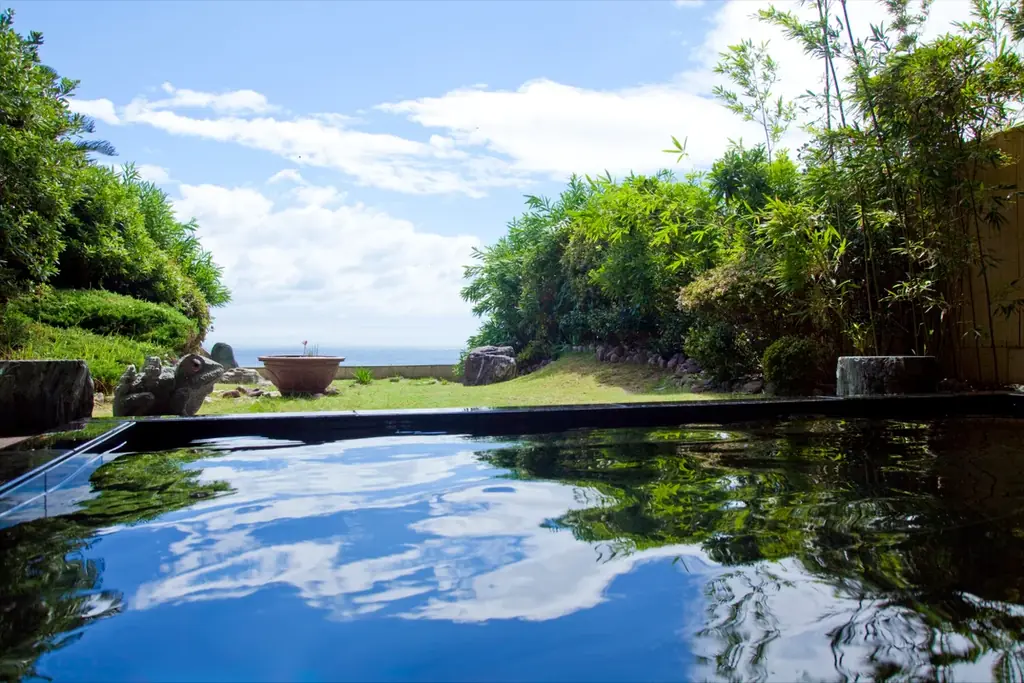 徳島・鳴門温泉【春休み！ファミリー旅を応援】幼児料金無料・小学生半額☆夕食はバイキング♪ 画像 9