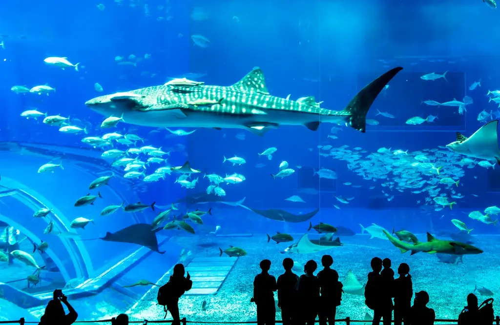 【新商品／福岡・長崎空港発着】スカイマークで行く！「スカイステイション　レンタカー付沖縄」を販売開始！価格は21,800円から♪スカイマーク公式ダイナミックパッケージ『たす旅』ではクーポンセール実施中 画像 3