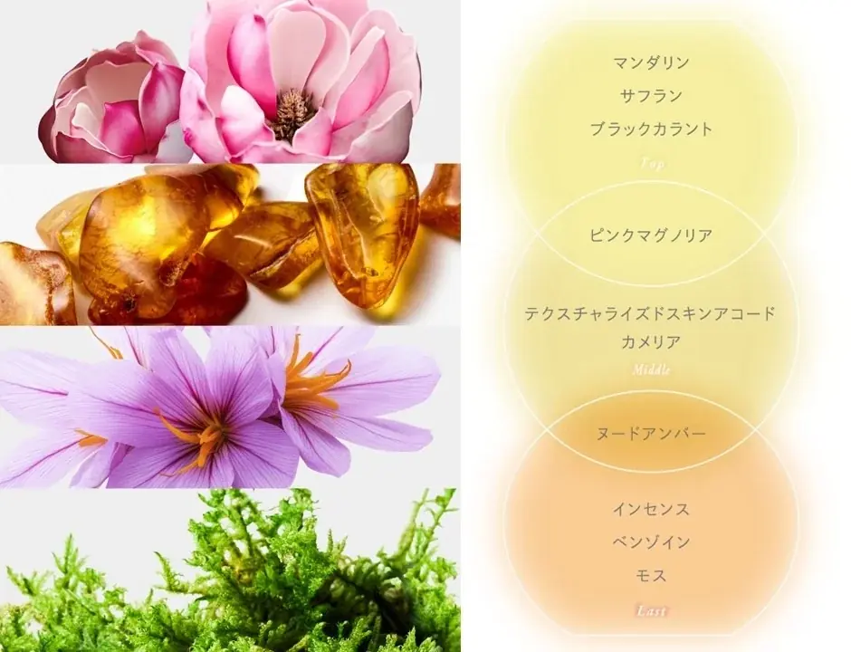 「ReFa THE PERFUME HAIR MIST（リファザパフューム ヘアミスト）」​好評につき、取り扱い市場拡大決定​ 画像 4