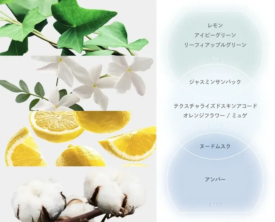 「ReFa THE PERFUME HAIR MIST（リファザパフューム ヘアミスト）」​好評につき、取り扱い市場拡大決定​ 画像 6