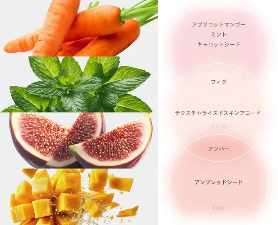 「ReFa THE PERFUME HAIR MIST（リファザパフューム ヘアミスト）」​好評につき、取り扱い市場拡大決定​ 画像 8