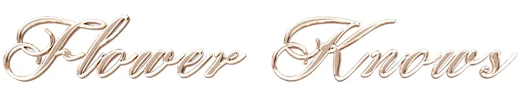 【新発売】Flower Knowsより新シリーズ「バニーガーデンテイルズ」が登場！ 画像 16