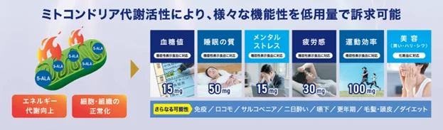 抗老化素材「5-ALA」の拡大に向け、健康食品・医薬品卸大手の大木ヘルスケアＨＤと業務提携を開始 画像 3
