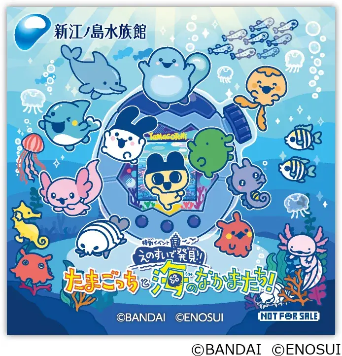 “えのすい”に まめっちたちがやってくる!　特別イベント『えのすいで発見!!たまごっちと海のなかまたち!』開催 画像 11