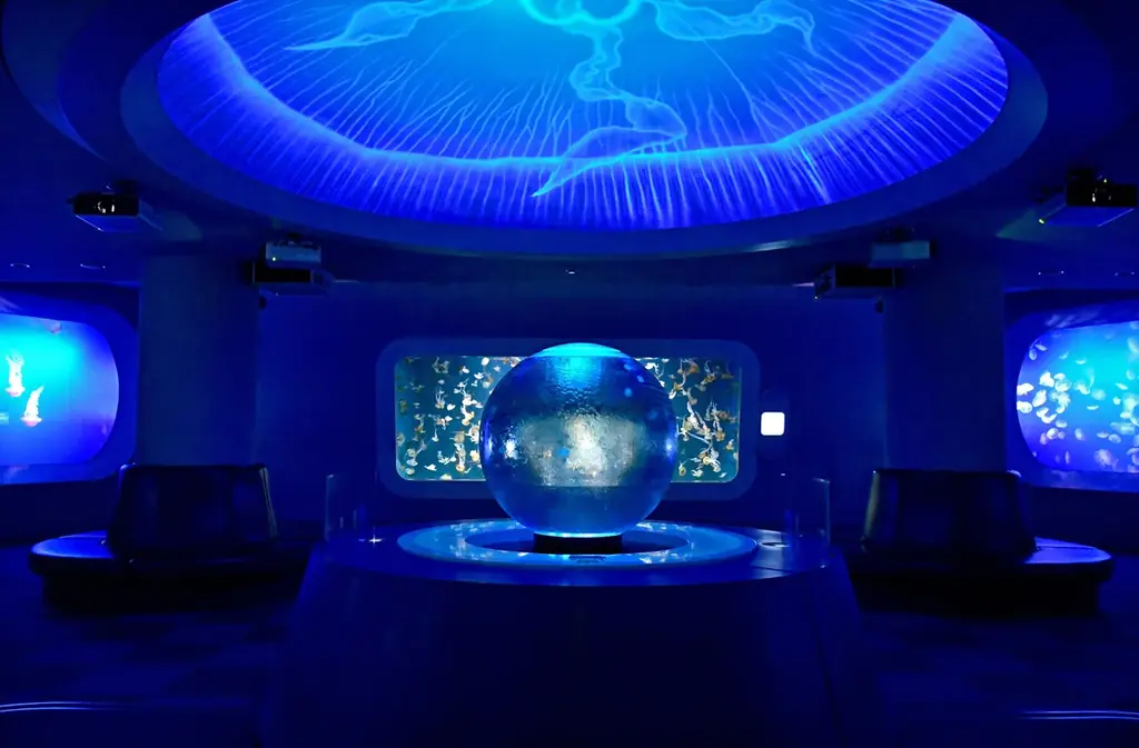 “えのすい”に まめっちたちがやってくる!　特別イベント『えのすいで発見!!たまごっちと海のなかまたち!』開催 画像 7