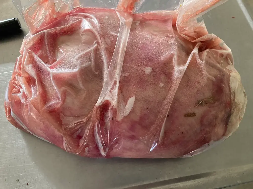 合同会社つれづれ、FOODEX2026 に出展決定。「エシカプラセンタ」をご覧いただけます。～エシカプラセンタとは何か～ 画像 4