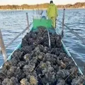 「浜松・浜名湖うまいもんフェア2026」開催！浜松・浜名湖地域の農畜水産物を集めたフェアを2/24より開催いたします！ 画像 4