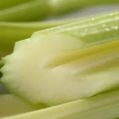 「浜松・浜名湖うまいもんフェア2026」開催！浜松・浜名湖地域の農畜水産物を集めたフェアを2/24より開催いたします！ 画像 5