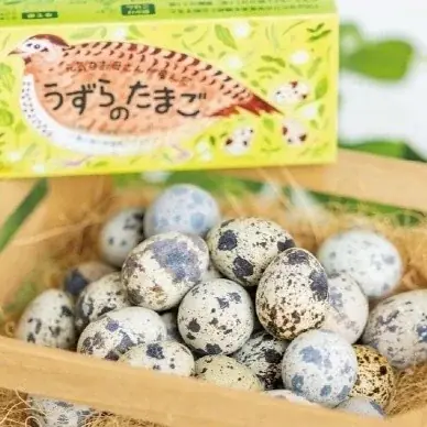 「浜松・浜名湖うまいもんフェア2026」開催！浜松・浜名湖地域の農畜水産物を集めたフェアを2/24より開催いたします！ 画像 8