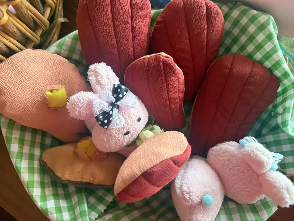 日本初！「マドレーヌ祭り」が愛知県蒲郡市にて開催！フランス発祥の伝統文化と地域活性を融合 画像 8