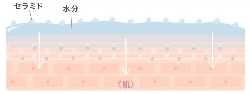 【新発売】メイクの上から瞬時に“キレイ”をON。ブラシ一体型で叶える、大人のためのUVリタッチ。「タッチアップ UVパウダーブラッシュ」2026年3月5日デビュー！ 画像 8
