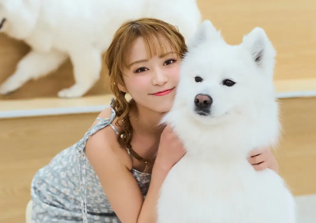 【サモエドカフェmoffu × 17LIVE】渋谷の大型ビジョンに“真っ白な癒やし”が降臨！人気ライバー出演CM放映＆来店促進キャンペーンを2月23日（月）より開始 画像 5