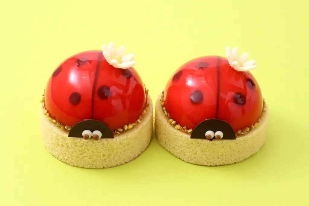 ベルギー王室御用達チョコレートブランド「ヴィタメール」3月7日(土)より春期間限定ケーキを販売いたします 画像 4