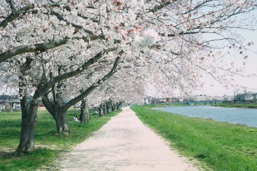 俳優 毎熊克哉さんがゲスト登壇！ 映画『14歳の栞』トークイベントが3月6日に池袋シネマ・ロサにて開催決定 画像 6