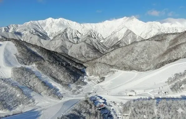 NSDキッズプログラム、及び、鹿島槍スキー場ファミリーパーク人気動画チャンネル「HikakinTV」とのタイアップ動画を公開 画像 4