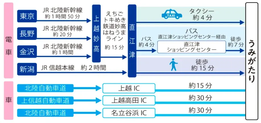 【上越市立水族博物館 うみがたり】『転生したら蒼海の水族館にダイブしていた件　うみがたり編』【２０２６年３月１１日（水）～５月６日（水）】 画像 11