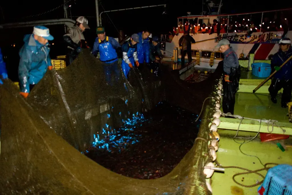 富山の春、東京に上陸。富山県と初のコラボグルメフェア開催！ 画像 4