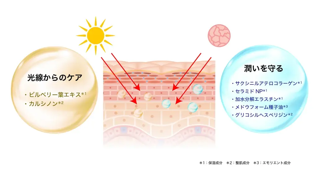【3月1日サロン販売開始】プロユースコスメブランド「スパトリートメント」から、『ゾンビ細胞』に着目した濃密な目元集中クリームが新登場！ 画像 4