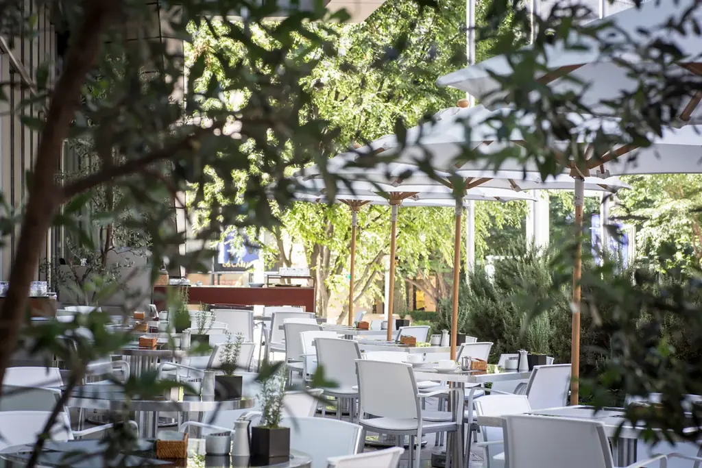 ホワイトアスパラガスを添えたローストビーフなど6種から選べるメインと約20種の春食材の前菜＆チェリーや抹茶をつかったスイーツも堪能　テラス席やシャンパンフリーフロー付プランも選べる春のセミビュッフェ 画像 14