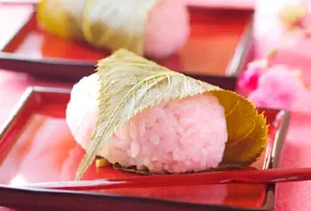 【春の新作登場】全２８種類の『季節のデザート＆自家製ジェラート』が食べ放題の焼肉店『プレミアムカルビ』に新作11品がラインナップ！ 画像 12