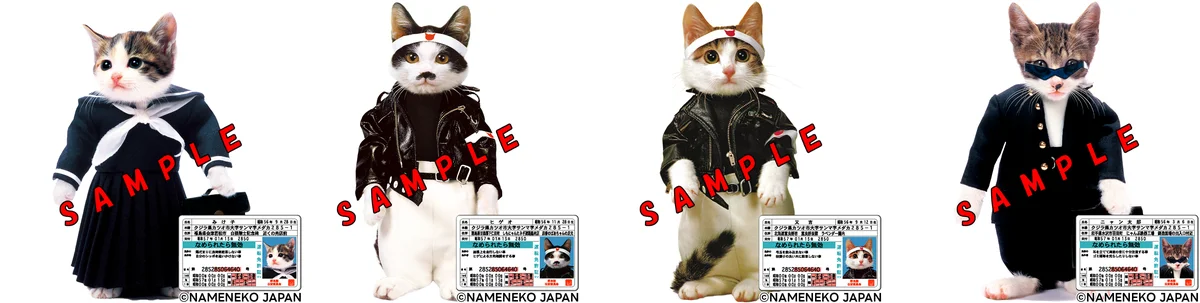 POCKET RDの大人気ゲームが『なめ猫』とのコラボを開催！ 画像 2