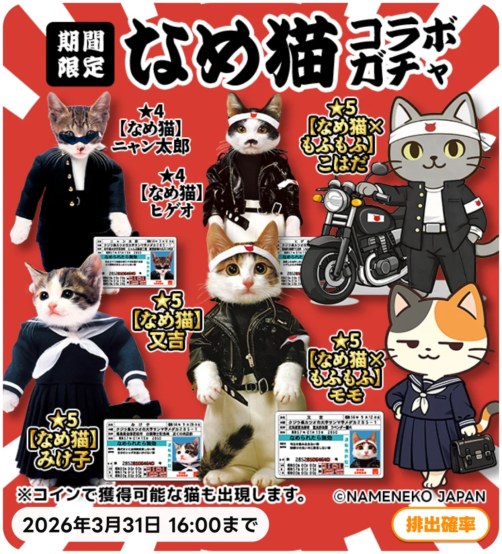 POCKET RDの大人気ゲームが『なめ猫』とのコラボを開催！ 画像 5