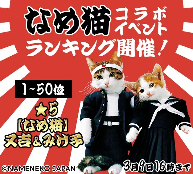 POCKET RDの大人気ゲームが『なめ猫』とのコラボを開催！ 画像 6