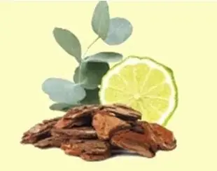 待望の『黒』が再登場！！感動の毛穴汚れ落ち〈マナラ ホットクレンジングゲル チャコール〉 画像 3