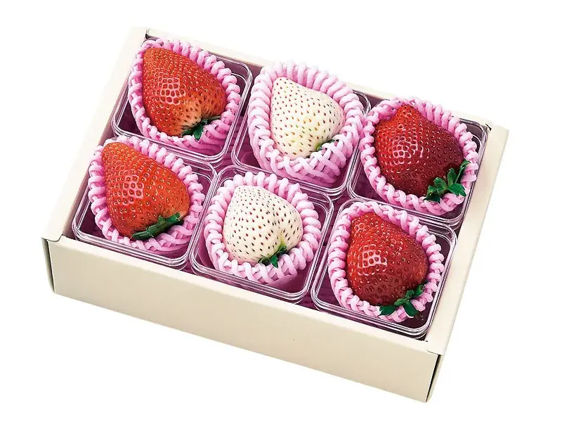 紅白のいちごが花束に！？ホワイトデーの常識を変える　フルーツのプロ厳選の華やかな特別ギフト 画像 9