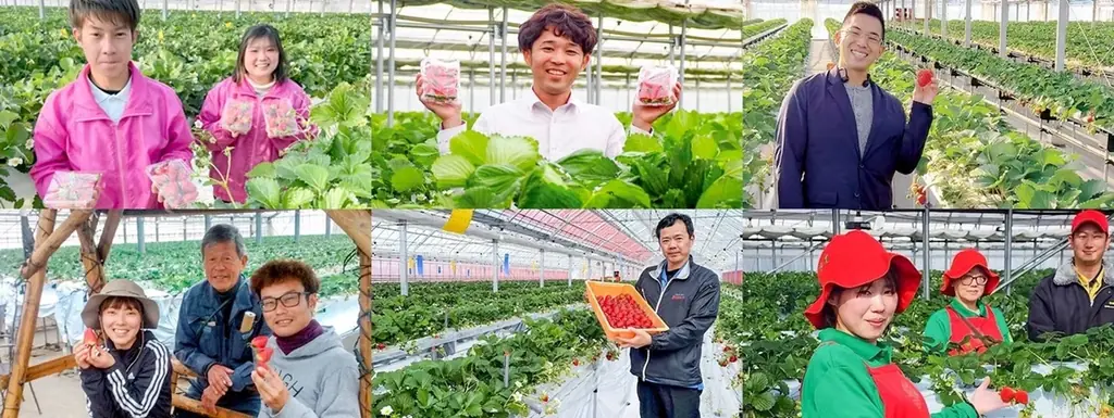 「Strawberry hunt 2026、はじまる。」 画像 2