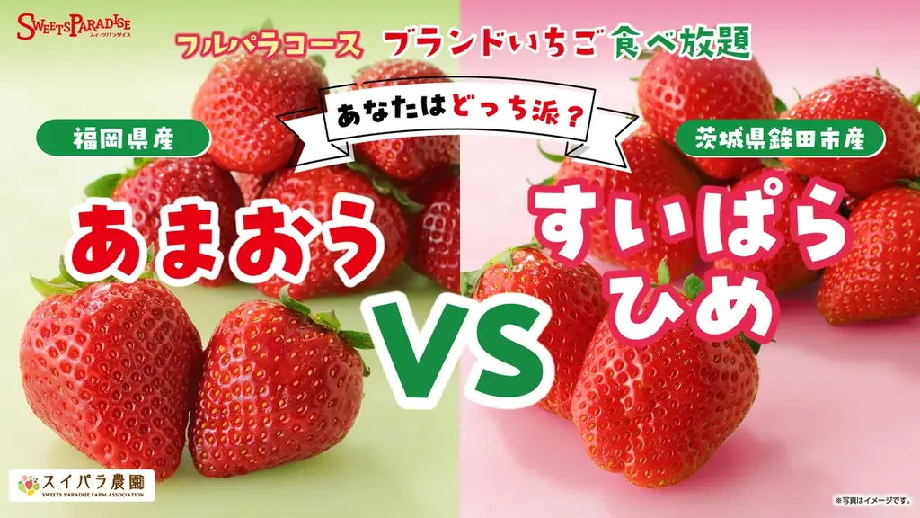 3月4日開始　あまおう vs すいぱらひめ食べ比べ