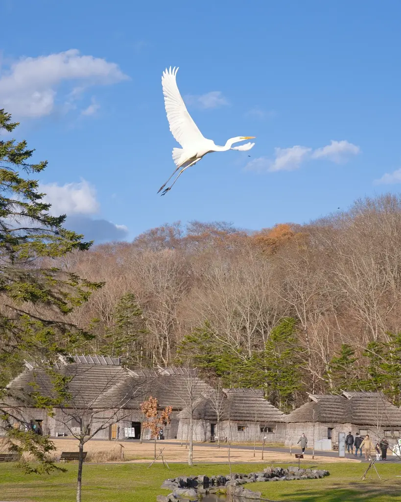 【ウポポイ】東京カメラ部タイアップ企画「ウポポイ・白老・登別フォトコンテスト2025」入賞作品が決定！ 画像 10