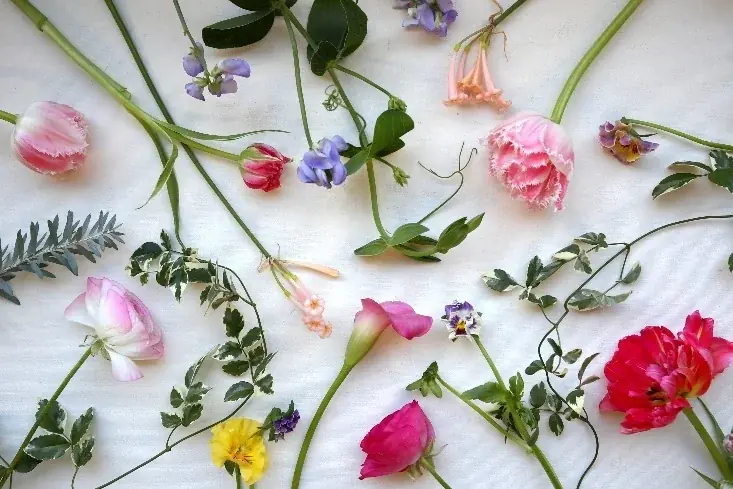 今年の春、屋上リニューアルOPEN！2026年3月20日（金・祝） 画像 6