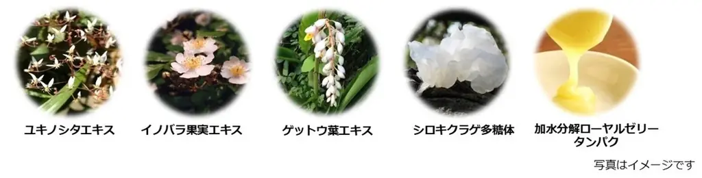 高濃度ビタミンC※1とグルタチオン※2W配合の美容液を新発売 画像 2